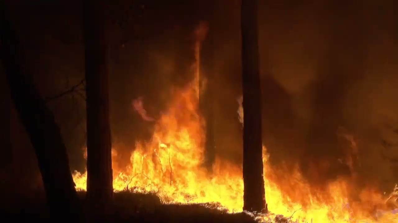 Riesiger Waldbrand in Beelitz. Einmalige Einblicke in die Arbeit von @fire e.v