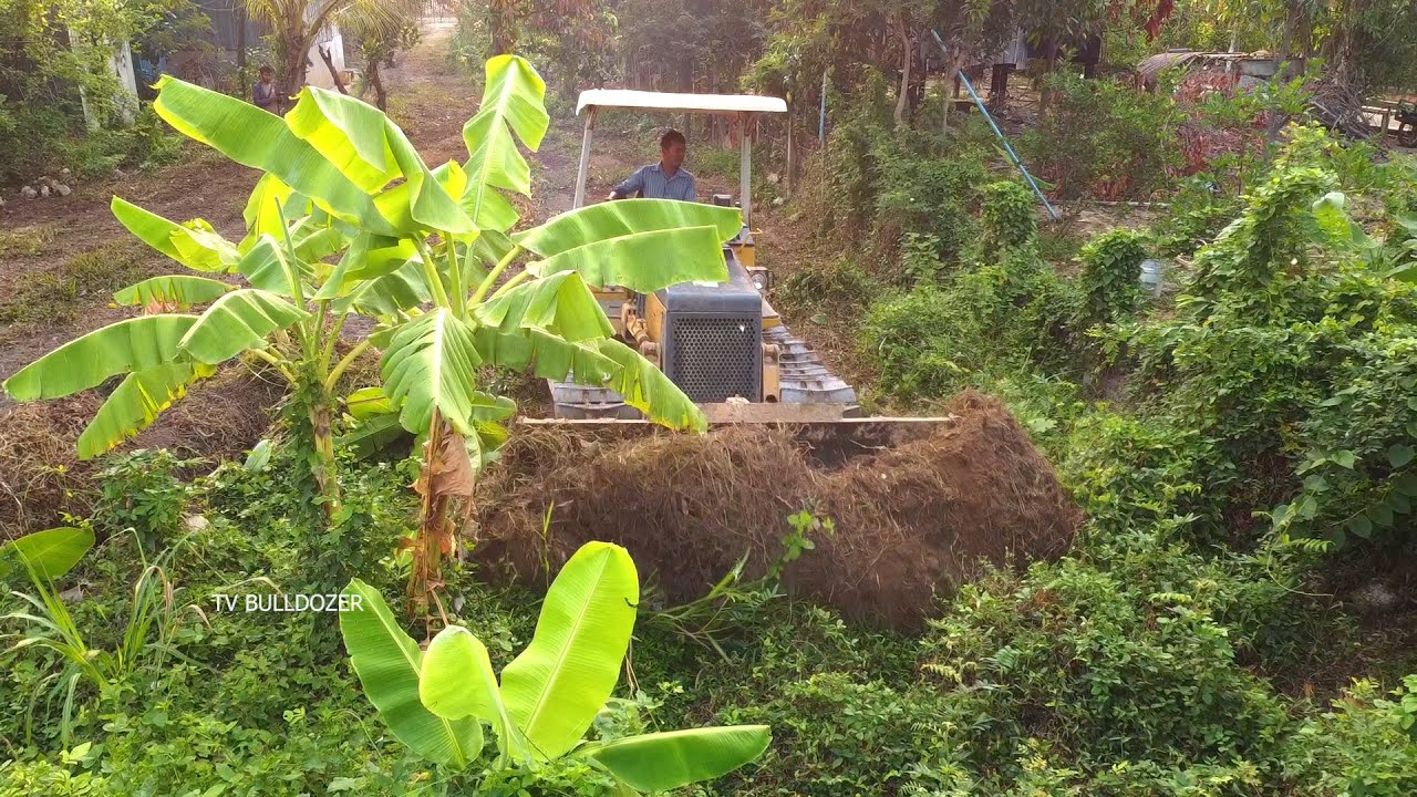 Starting new work techniques skill Mitsubishi BD2J Bulldozer remove forest & landfill flooded area