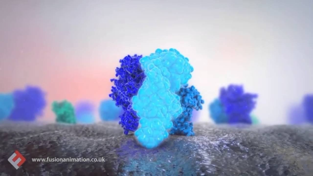 Thrombin