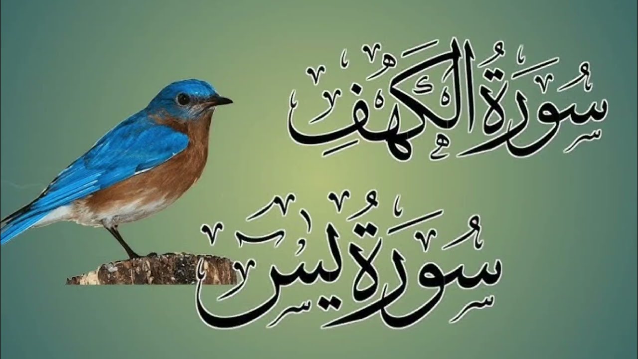 Surah Al-Kahf | Surah Yasin Full Tilawat ❤️ | Most Beautiful Recitation By Qari Muzammil Nadwi 