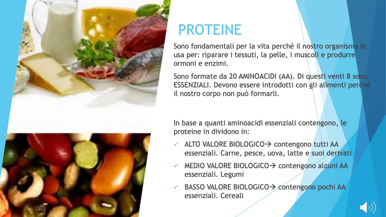 Macronutrienti e micronutrienti