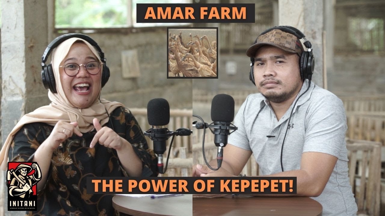 MENINGKATKAN PRODUKTIVITAS BEBEK PETELUR DENGAN CARA INTENSIF KERING KHAS AMAR FARM