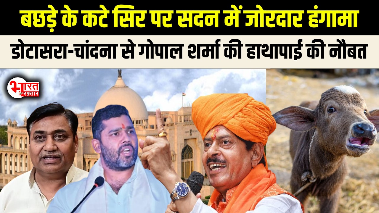 Dotasara- Ashok Chandna से Gopal Sharma की हाथापाई की नौबत,बछड़े के कटे सिर पर जोरदार हंगामा