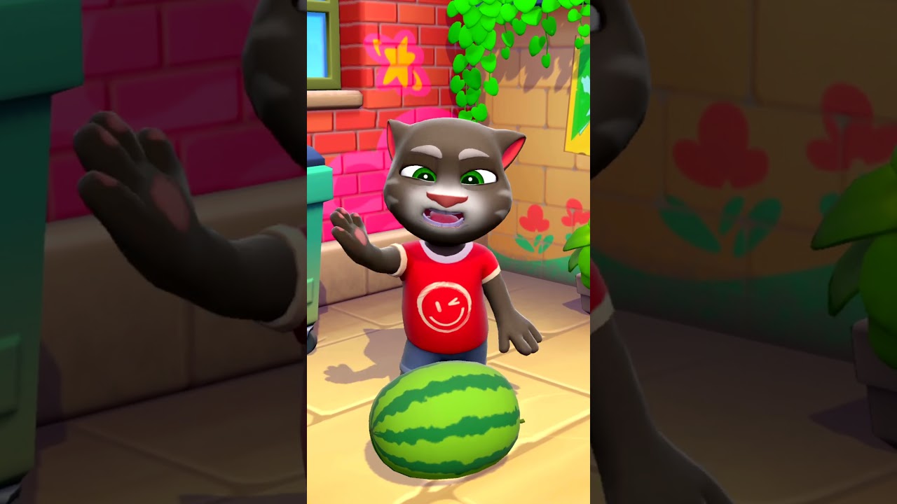 Watermelon vs Tom &ndash; Guess Who Wins? 😬🍉🐱