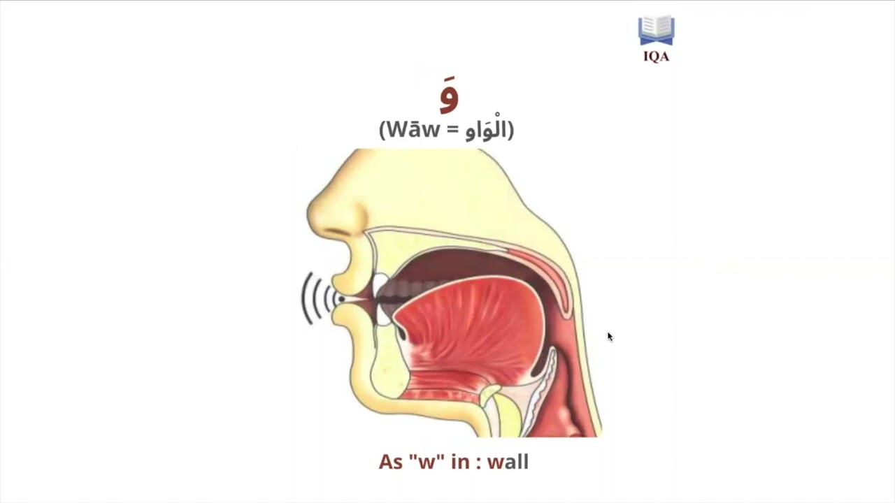 The nose and throat letters in Arabic