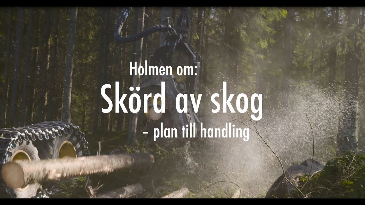 Holmen om: Skörd av skog - plan till handling