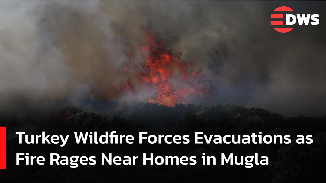 BREAKING: Turkey Wildfire Forces Evacuations as Fire Rages Near Homes in Mugla | AL15