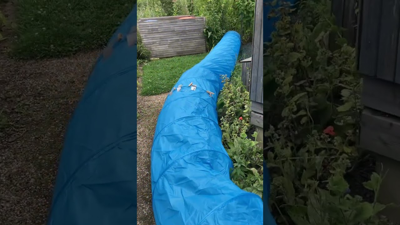 De ‘kippentunnel’ van Marjolein 😂