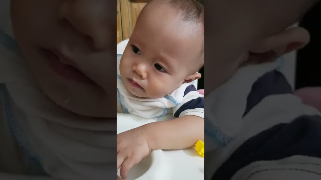 Gấu ngủ gật