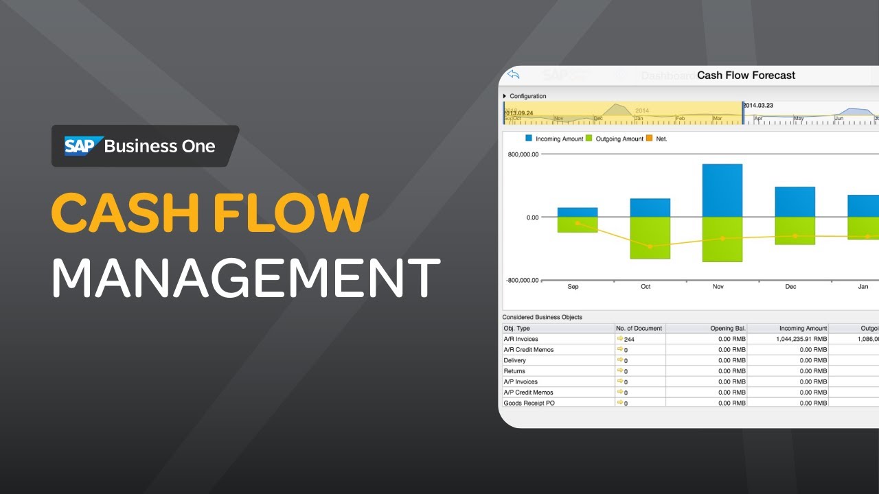 SAP Business One Cash Flow Management