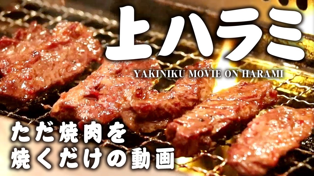 【焼肉 飯テロ】ハラミをただ焼くだけの動画 【上ハラミ】焼肉の焼ける音 ASMR 高画質