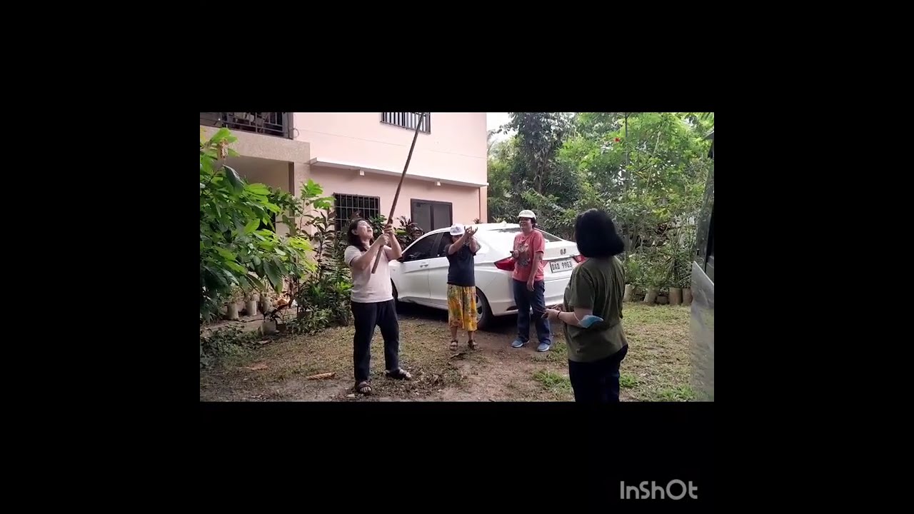 DAMING BUNGA..