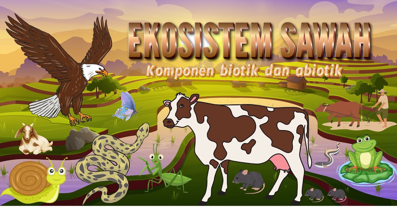 EKOSISTEM SAWAH