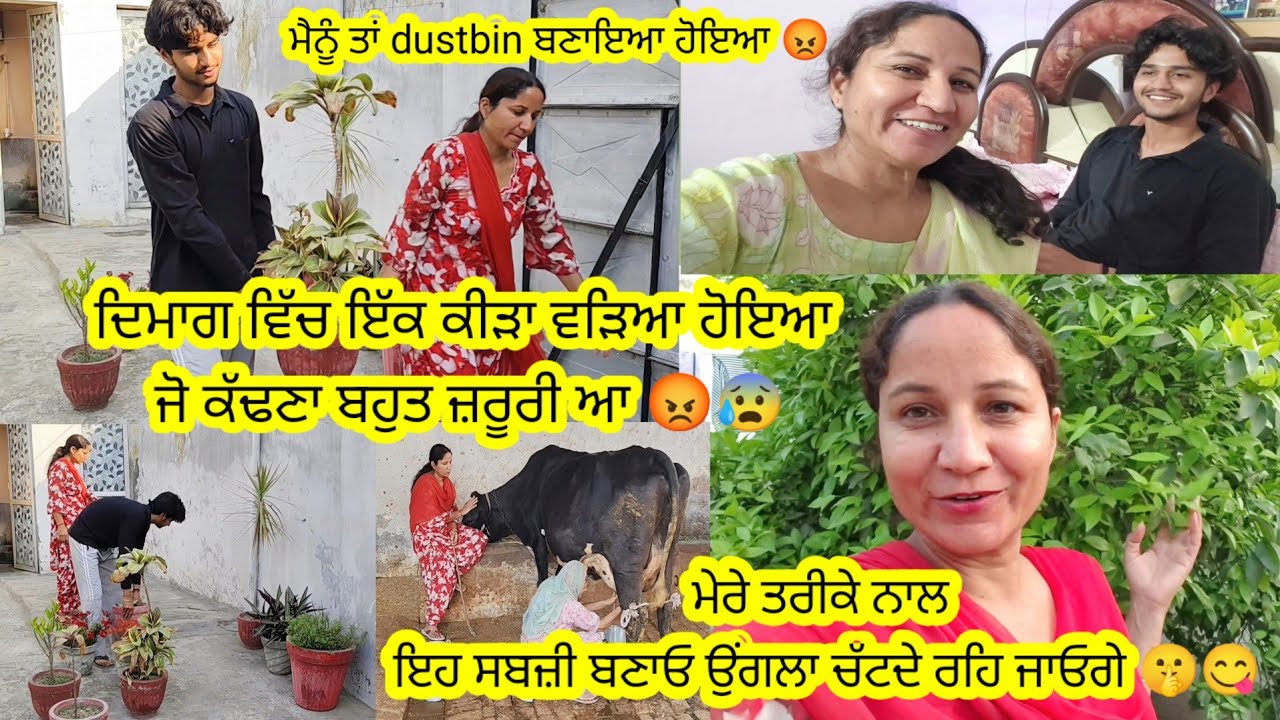 ਬਸ ਦਿਮਾਗ ਵਿੱਚ ਇੱਕ ਕੀੜਾ ਵੜਿਆ ਹੋਇਆ 😡 ਜੋ ਕੱਢਣਾ ਬਹੁਤ ਜ਼ਰੂਰੀ ਆ 😰 || by Punjabi Batth Family New vlog 