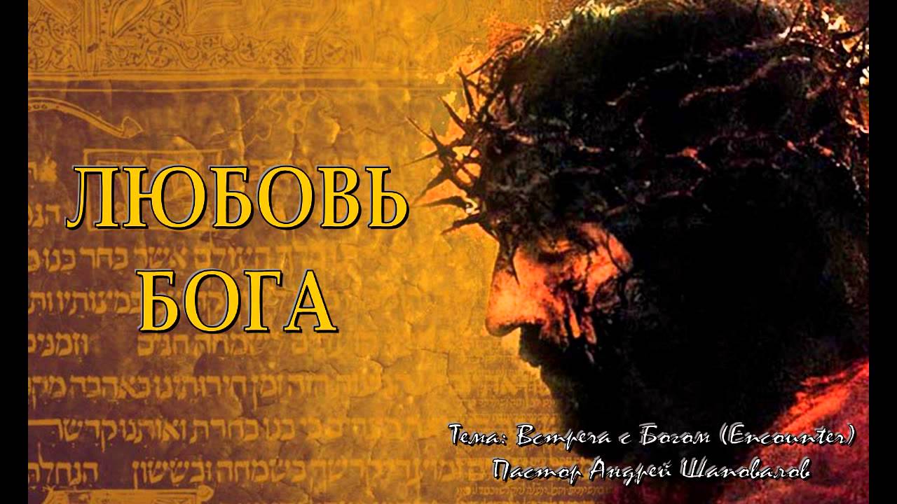 Андрей Шаповалов 