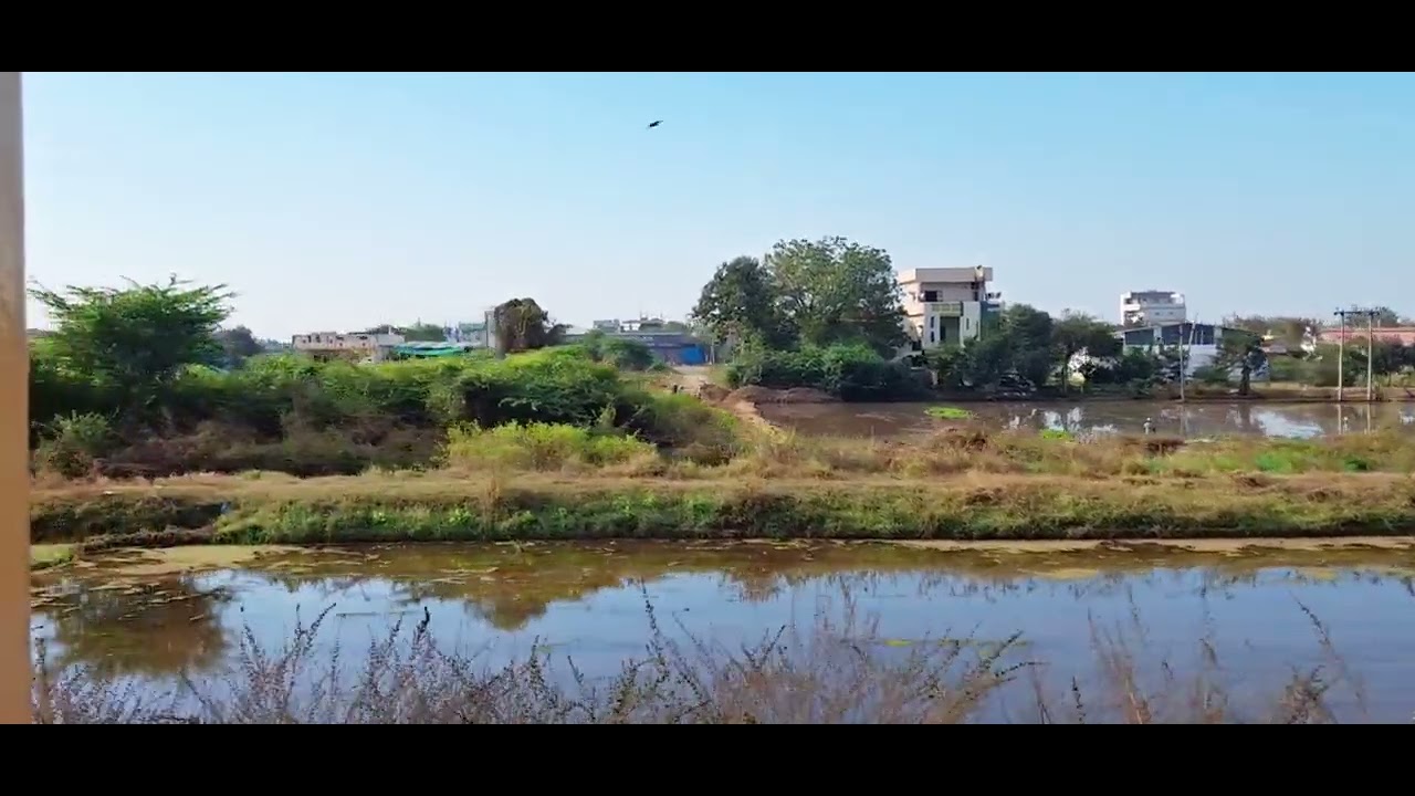#train#yatra Nandyal to Gidalur#dashrampoyam pkrs