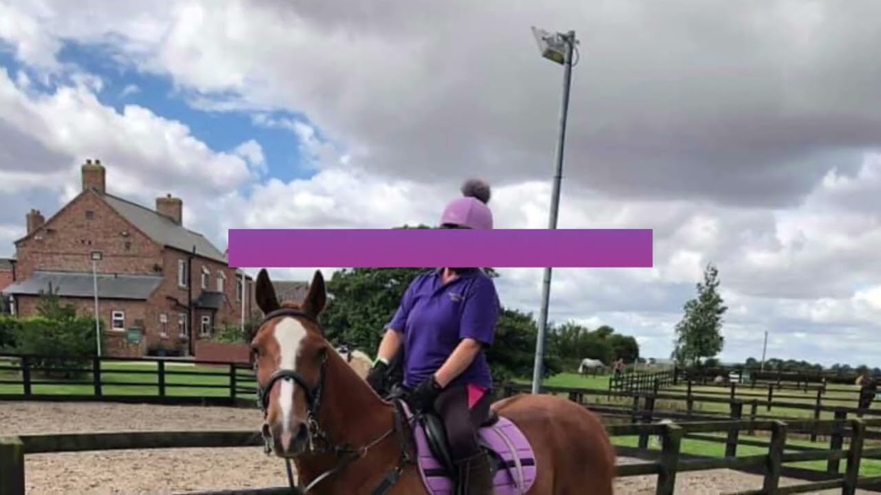 Field Farm - bring your horse on holiday