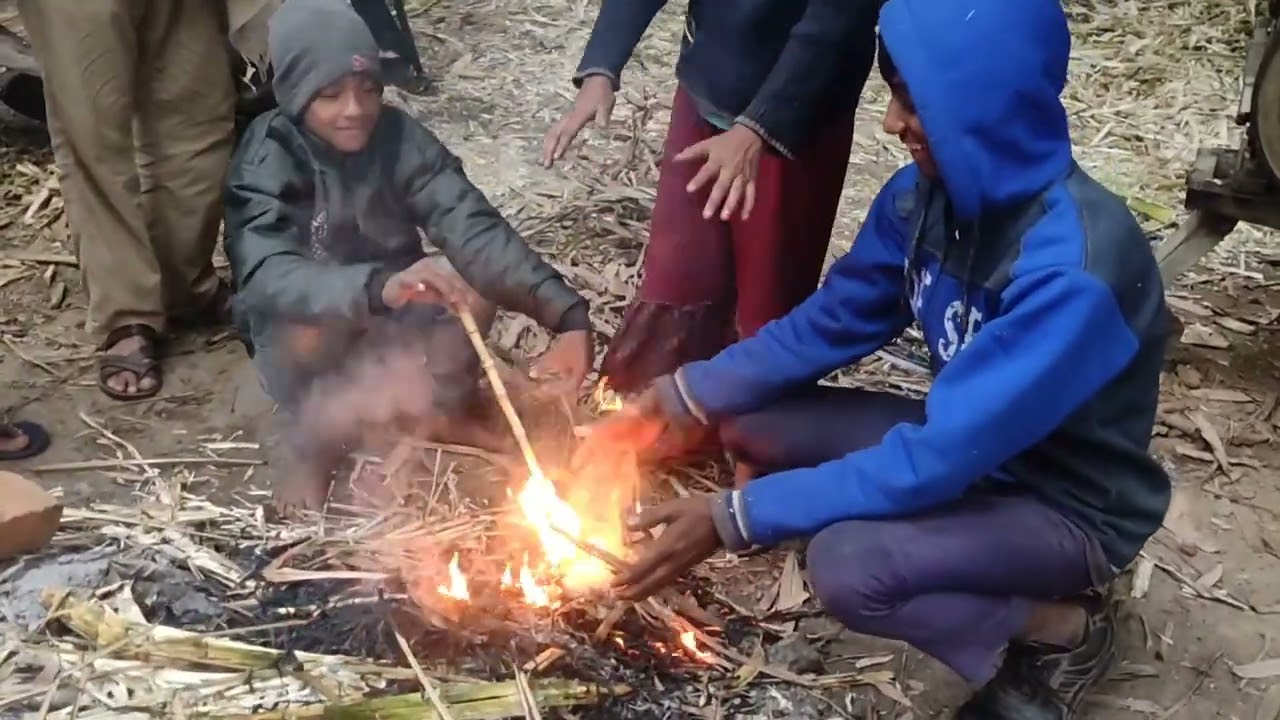 น้ำตาลปี๊บอินเดีย ตั้งแต่ตัดอ้อยจนเป็นน้ำตาล