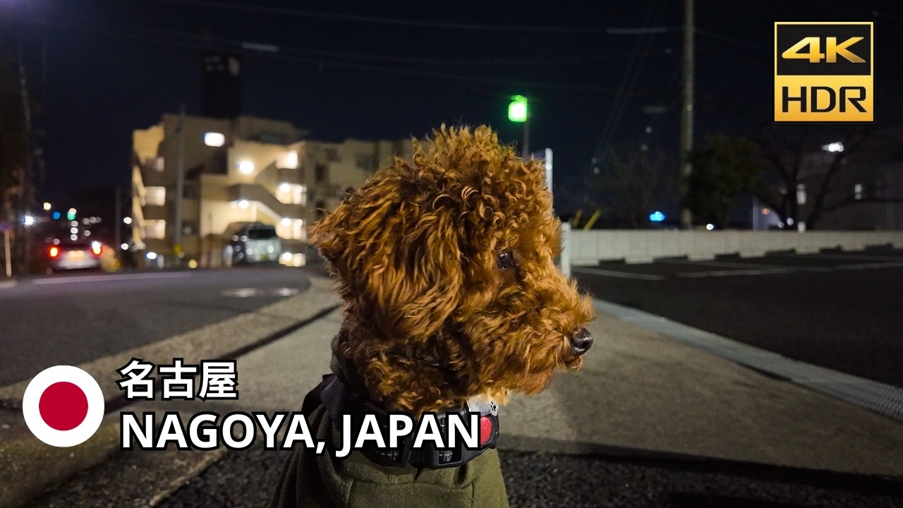 Nagoya, Japan – A Calm Night Walk Through Suburban Streets • Dog Walk POV • 4K HDR