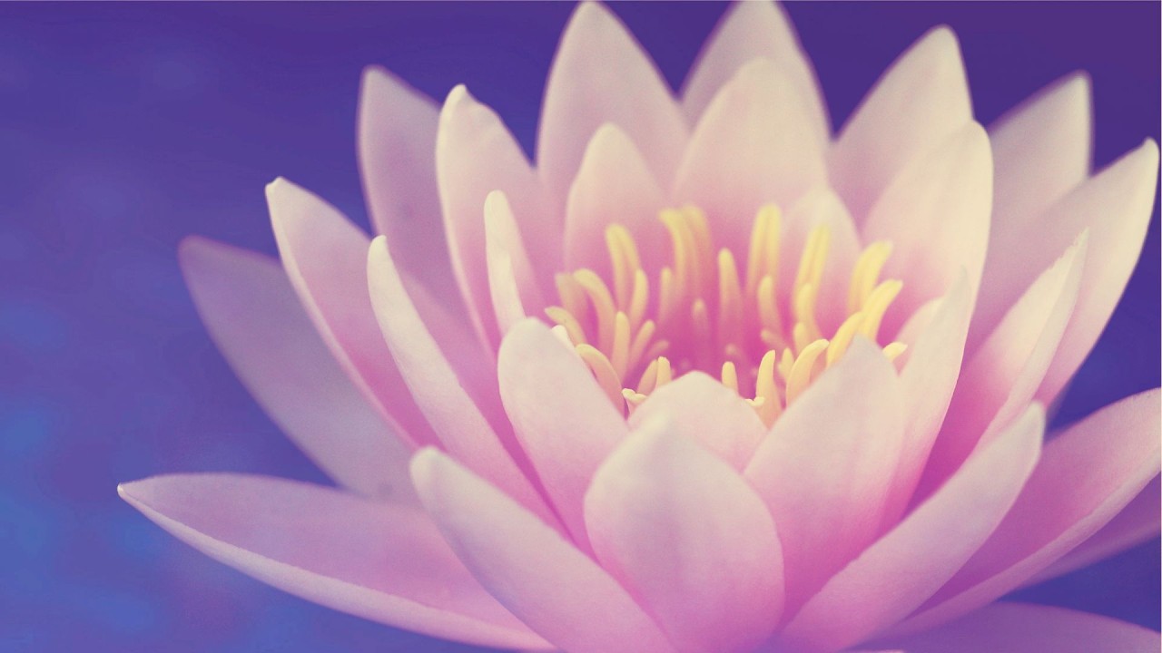 Gerrard Brennan | The Primacy of Consciousness and its Relationship to Knowledge and Bliss