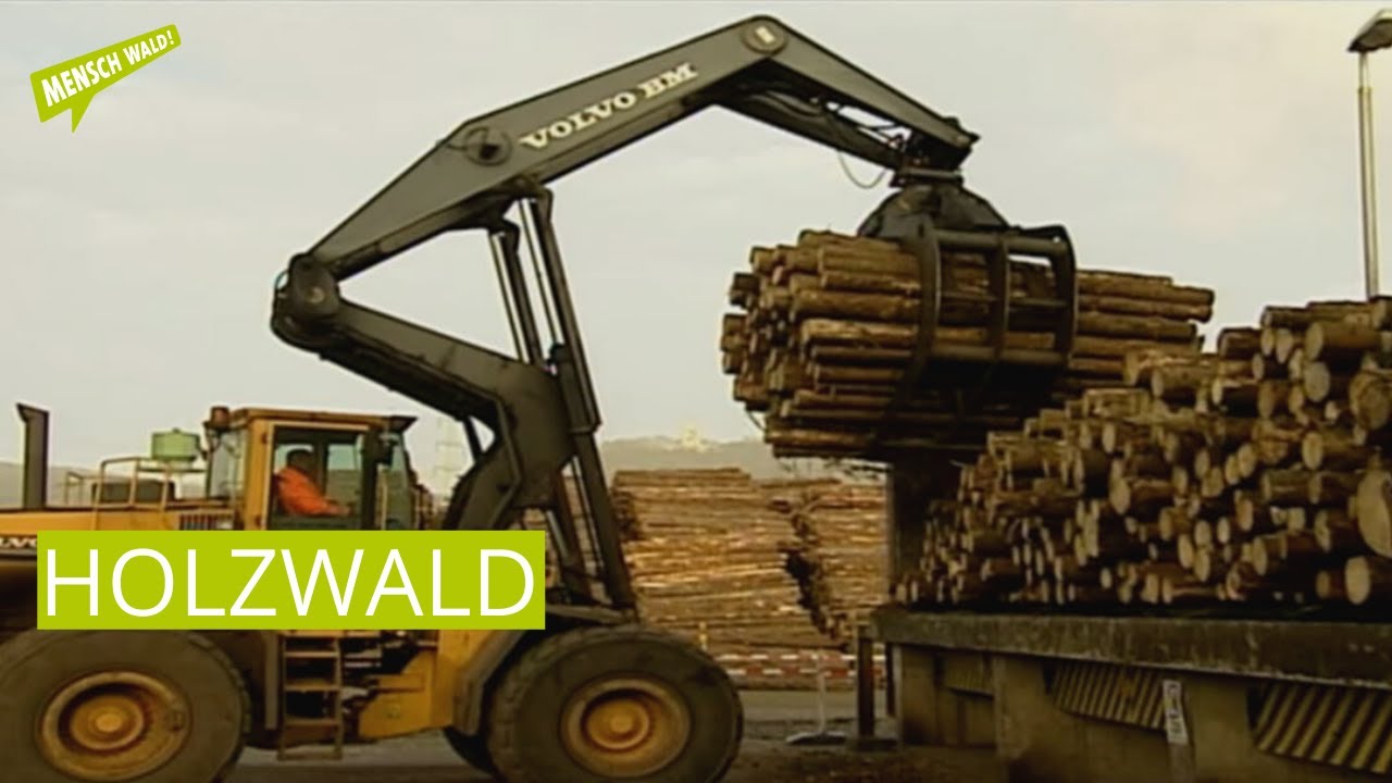 Holzwald - Baumveredelung im höchsten Maße