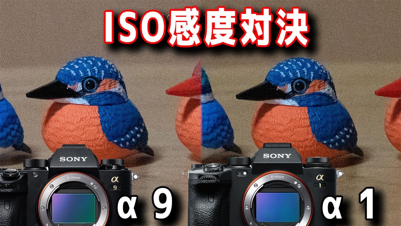 【SONY】α1とα9でISO感度対決！解像度を維持しつつ良好な画像を叩き出す ISO100～ISO25600【ソニー】