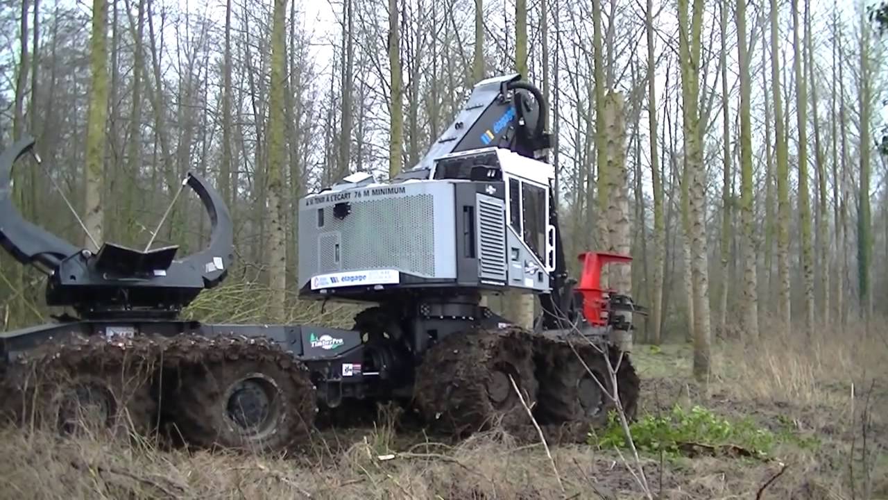 Timberpro TB830 con cabezal TDS22
