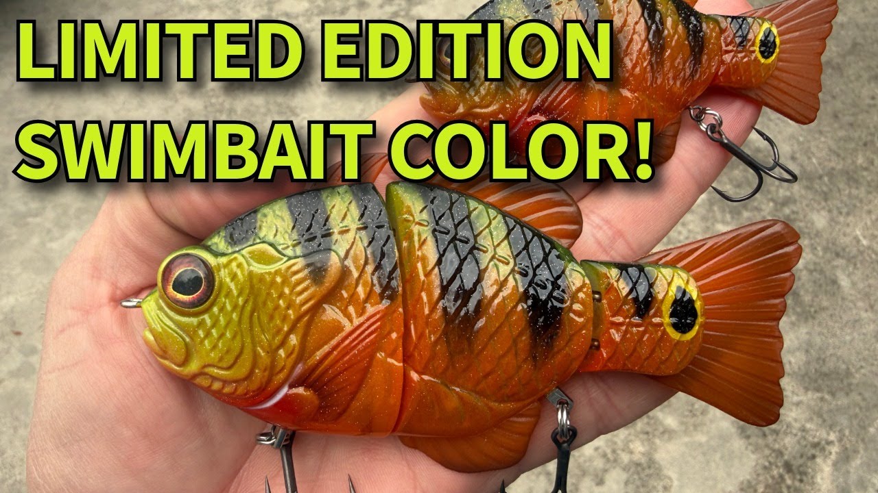 Only 300 Made… Synch Fishing’s New Swimbait Color
