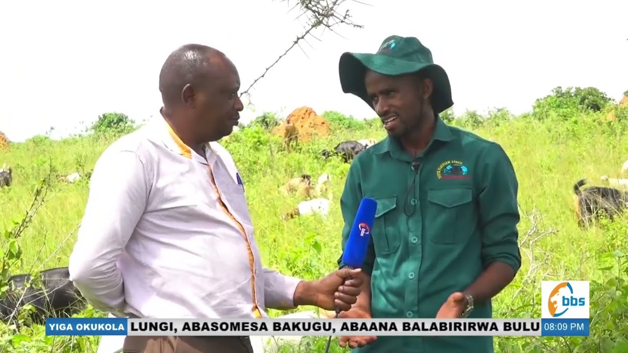 Omu kubasajja abasinze okufuna mu kulunda embuzi akubuulira ennunda y'embuzi efuna. #YigaOkukola