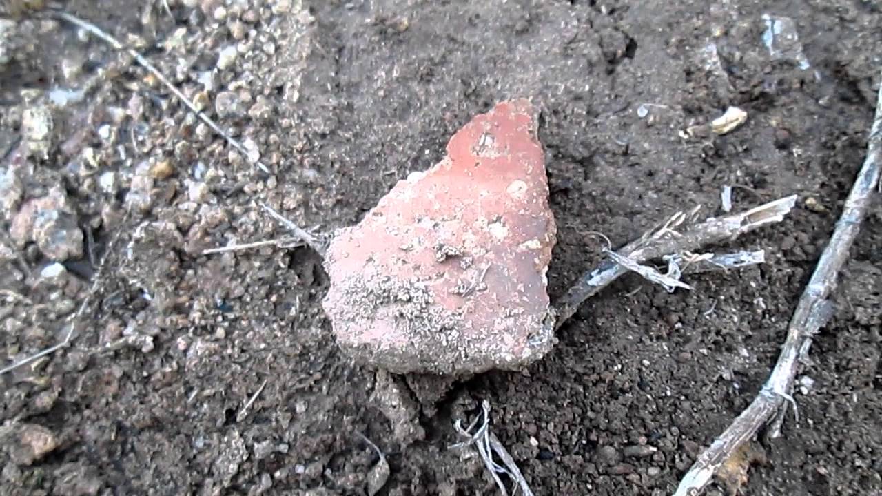 Garden Valley Loop - Pottery Shards