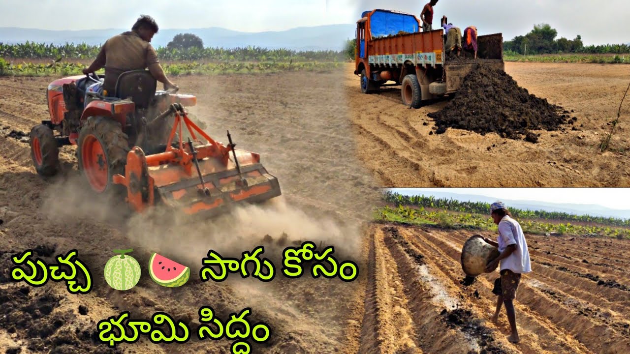పుచ్చకాయ-కర్బూజా కోసం భూమిని ఇలా తయారు చేసుకోండి Land Preparation For Watermelon ||AGRI GURU||