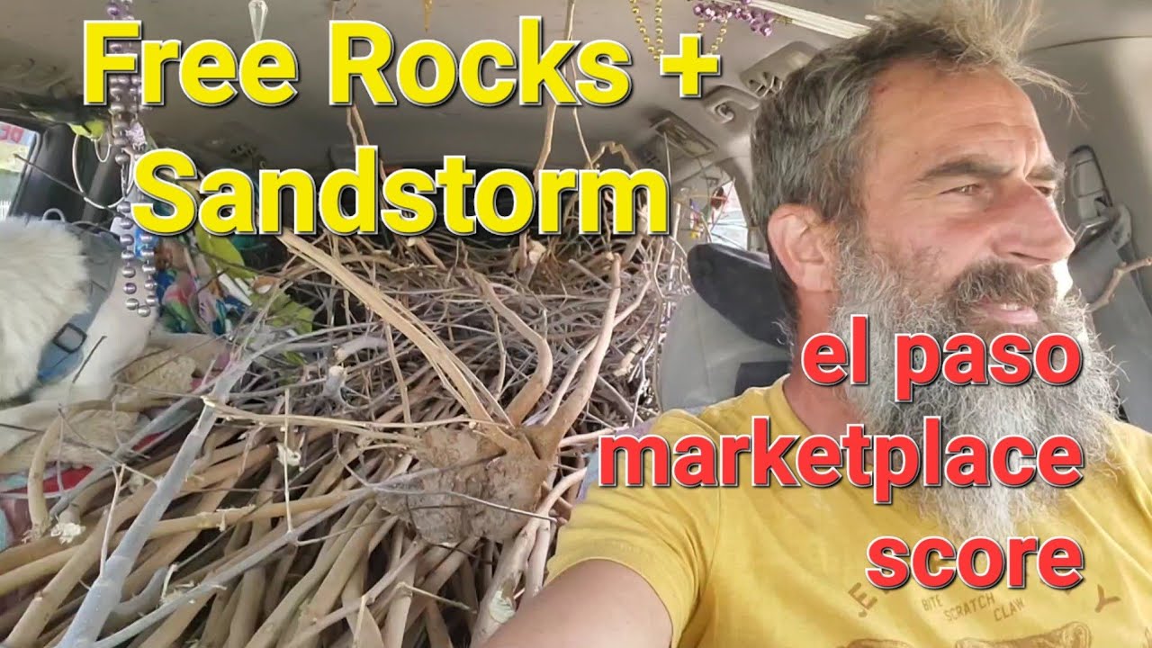 I Got FREE Rocks & Trees in El Paso! | Then a Sandstorm Hit...