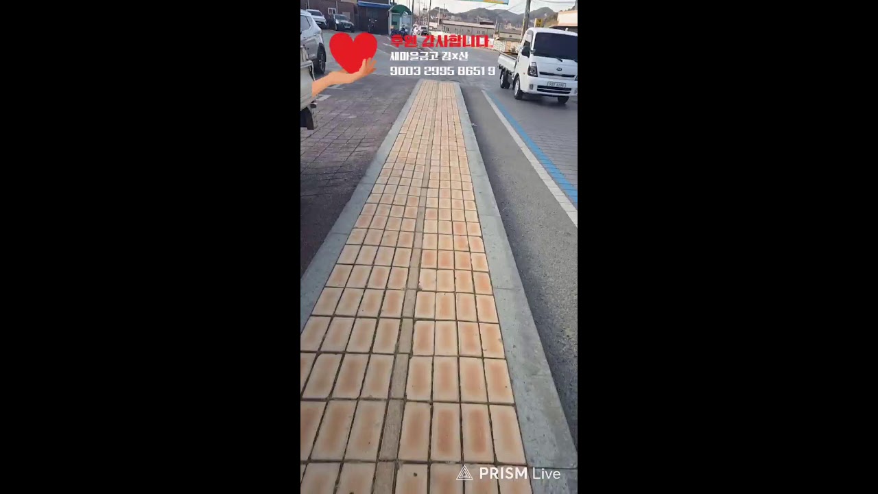 다이어트 3일차 거금도 금진마을 산책 2일차