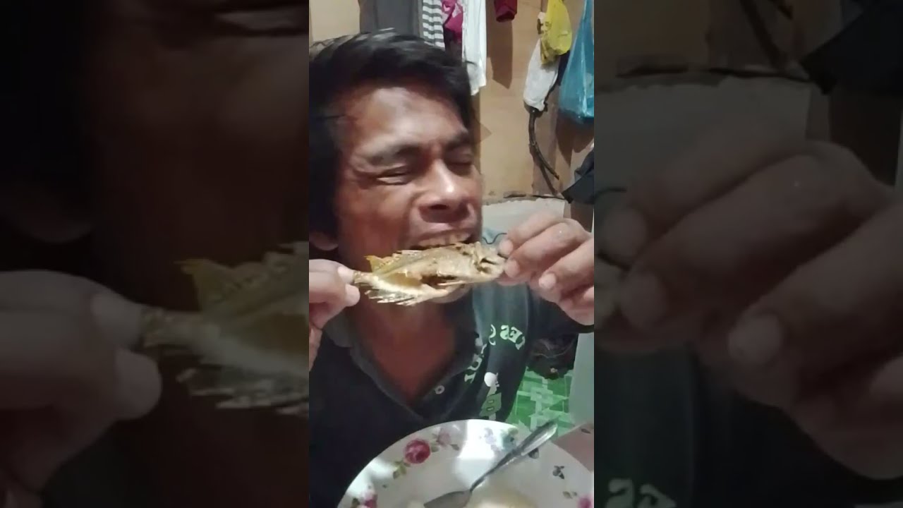 jomong cañedo vlog  is live!