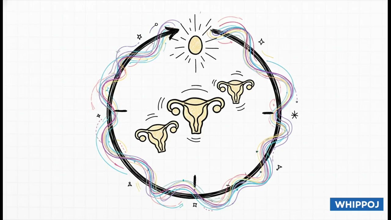 🔬 Le Système Reproducteur   Comprendre le Mystère de la Vie