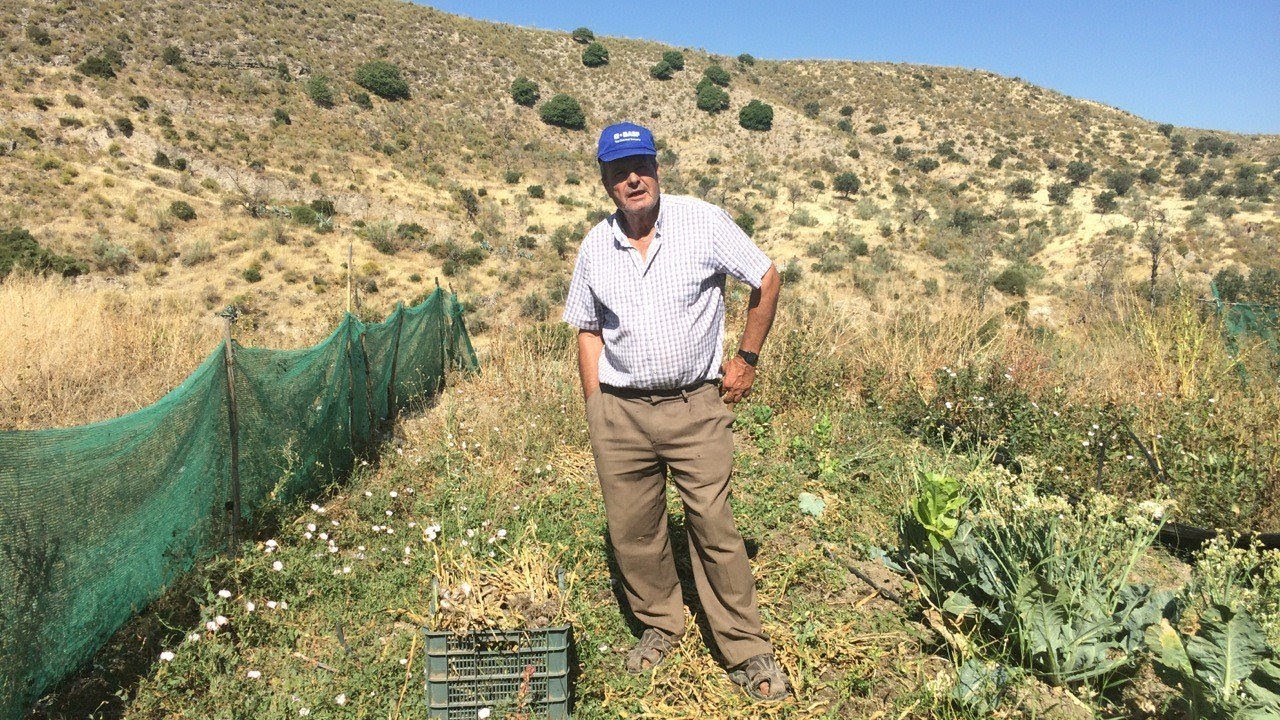Kampf ums Wasser – Olivenbau extrem in Andalusien (Doku)
