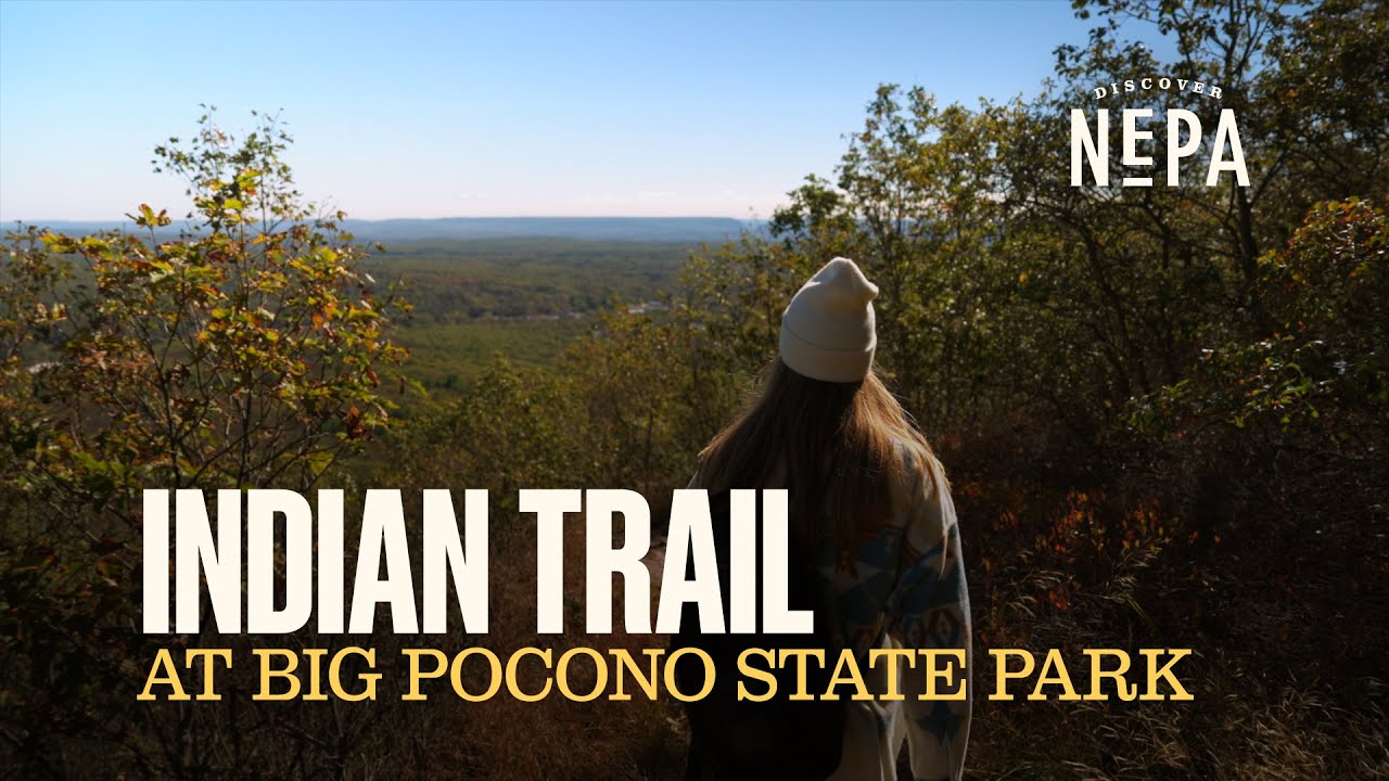 Индейская тропа в государственном парке Биг-Поконо | Таннерсвилл, Пенсильвания