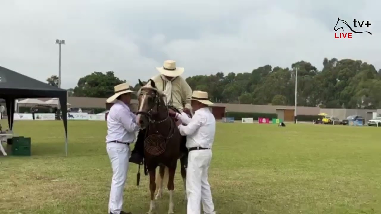 Campeón de Campeones Macho- MALA 2023🇵🇪🇵🇪🇵🇪