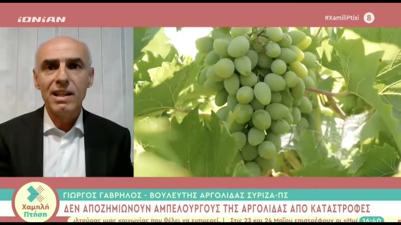 «Δεν αποζημιώνουν τους αμπελοκαλλιεργητές της Αργολίδας από καταστροφές»