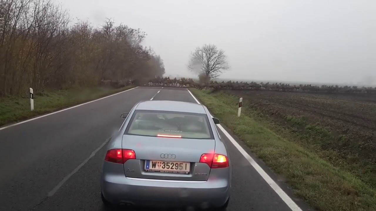 Harde de Cerfs