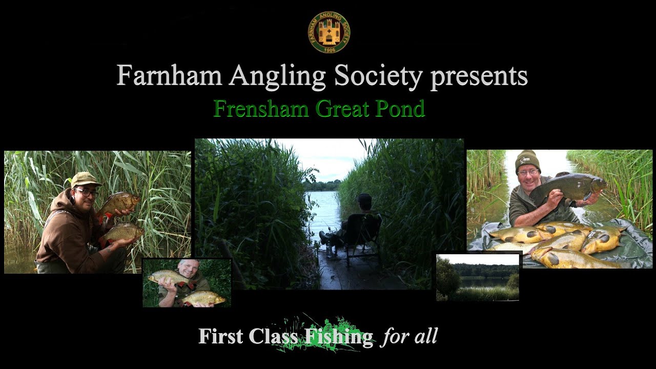 Farnham Angling Society Frensham Great pond