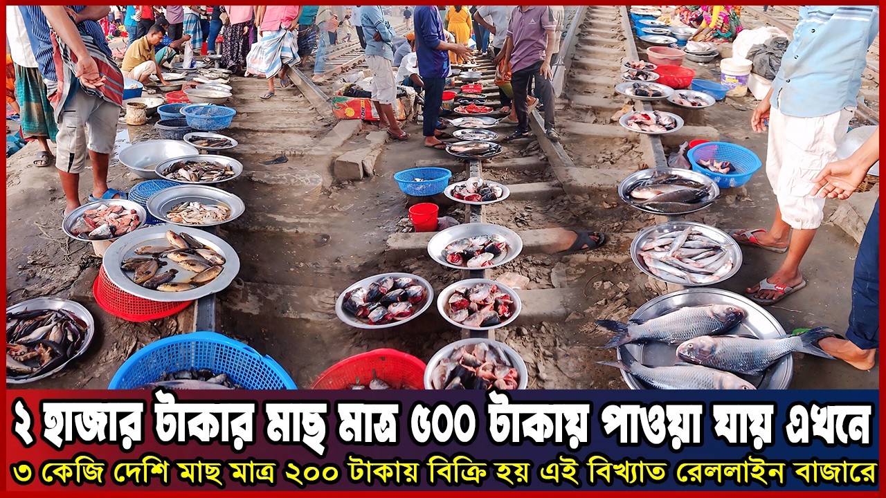 ২০০০ টাকার মাছ মাত্র ৫০০ টাকায় পাওয়া যায় বিখ্যাত এই রেললাইন বাজারে। ||Fish Market vlog||