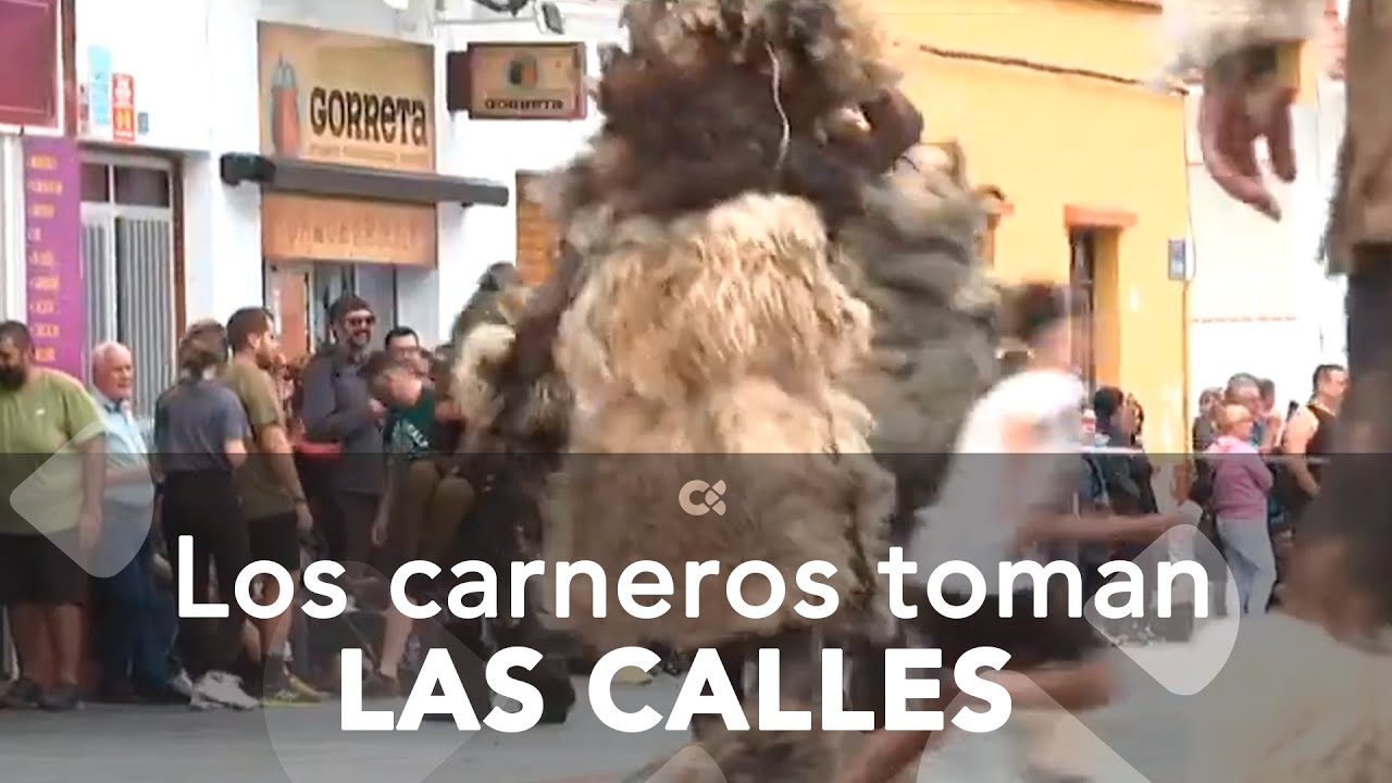 Los carneros toman las calles de Tigaday, en El Hierro