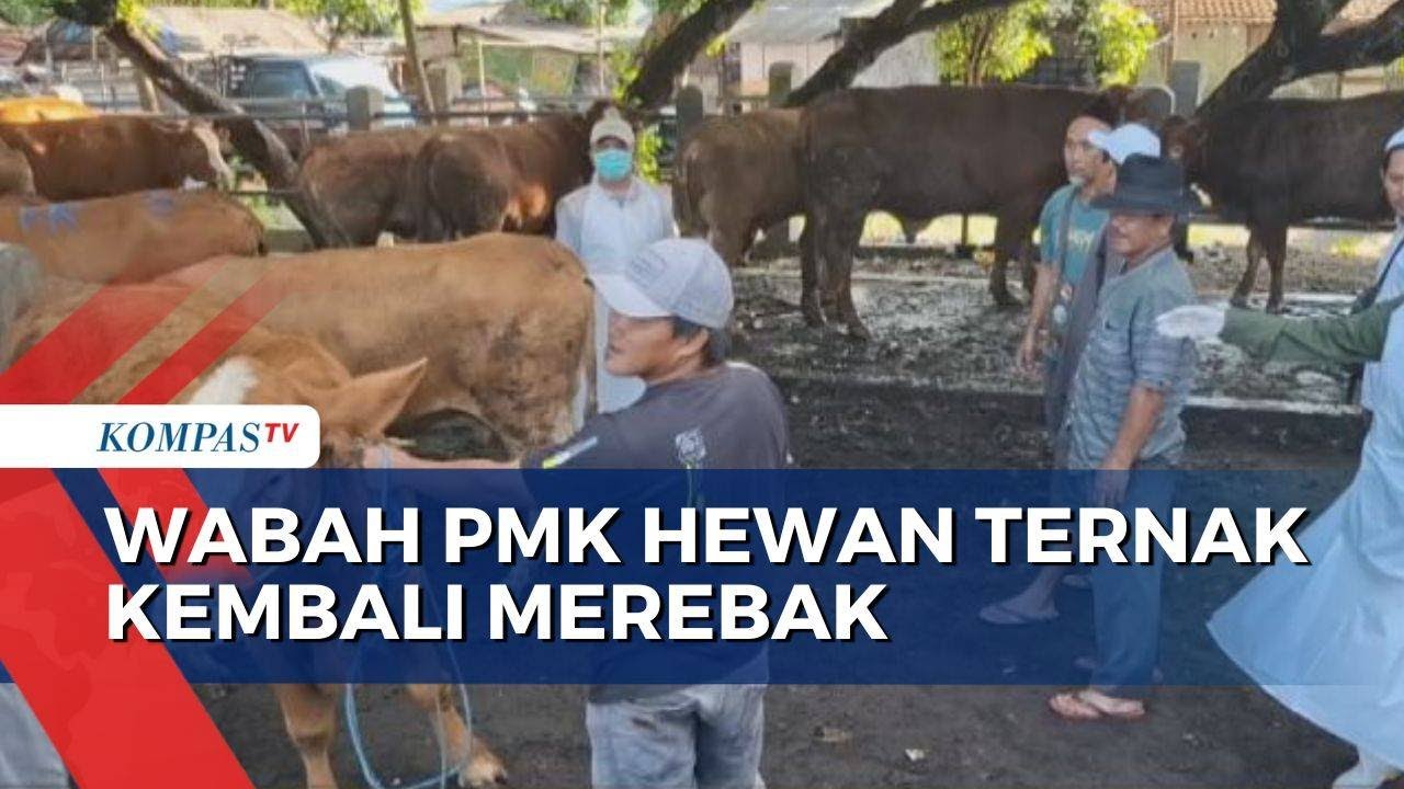 Wabah PMK Merebak di Kediri dan Pacitan, Aktivitas Sejumlah Pasar Hewan Ditutup
