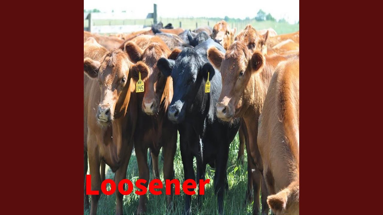 Loosener