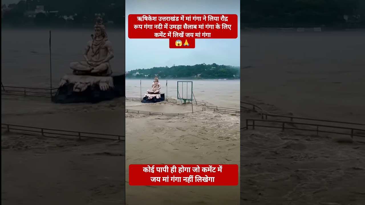 ऋषिकेश मां गंगा का रूद्र रूप सैलाब 🥀 #shorts #rishikesh #flood 🌺 #ganga 🔱 #trending #रील्स #वायरल 😔🙏