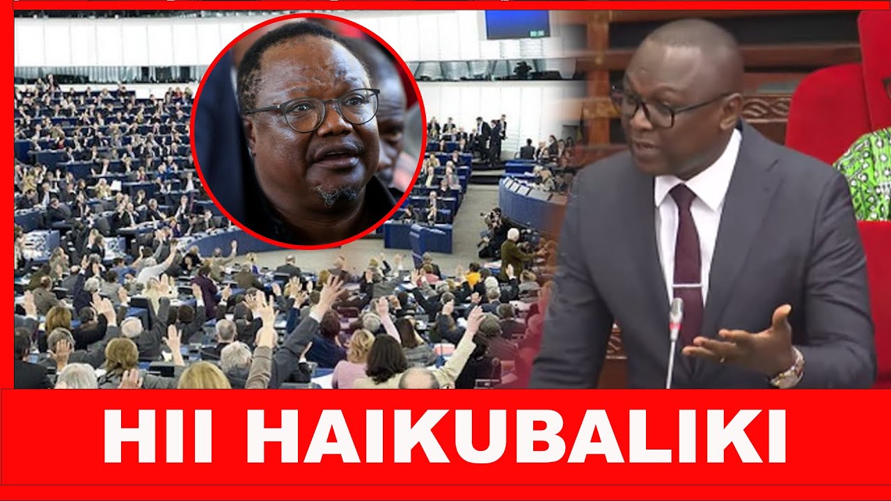 MBUNGE CHIWELESA APANDISHA HASIRA KALI MAAZIMIO BUNGE LA ULAYA, ADAI NI DHARAU KWA BUNGE LA TANZANIA