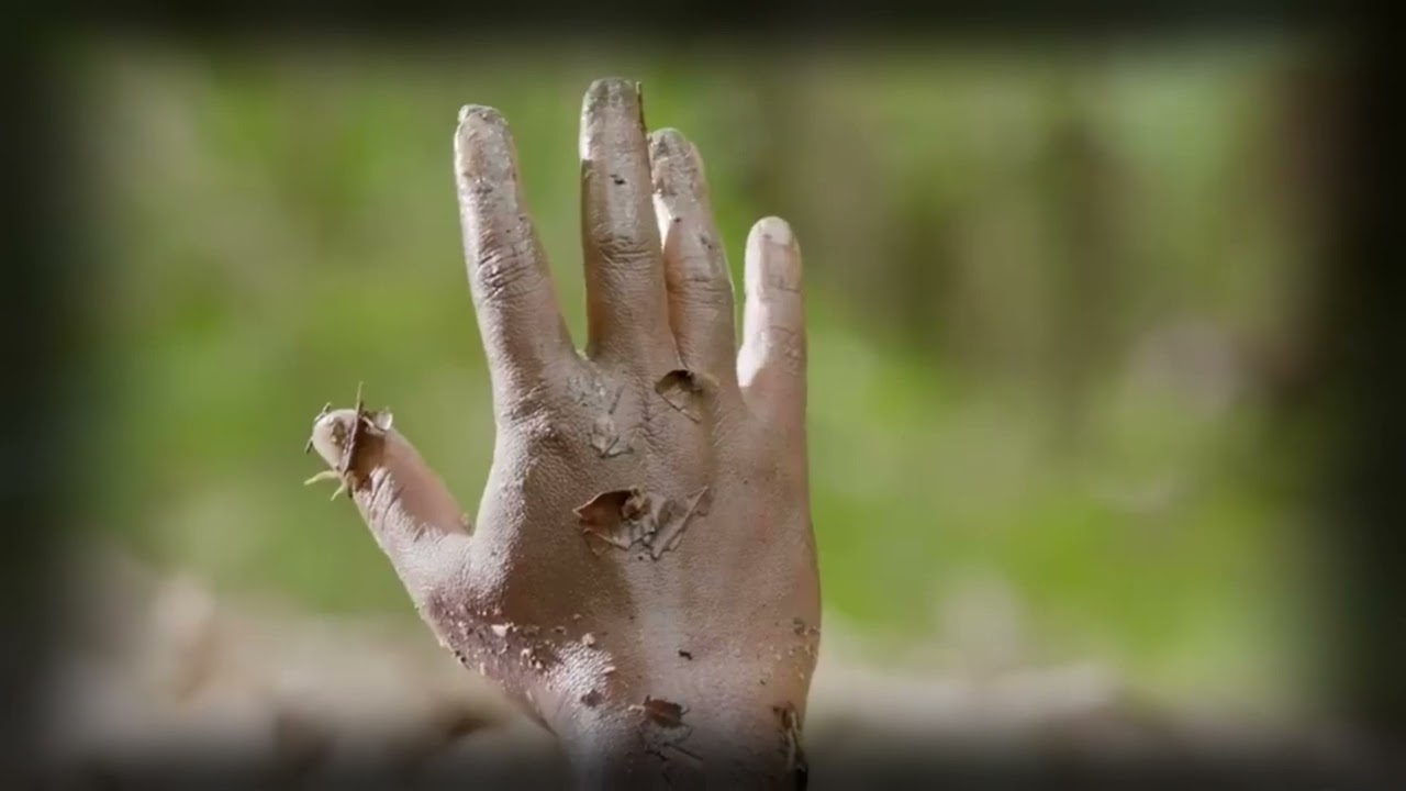 Riverwood - Sands Of Time  (2022)