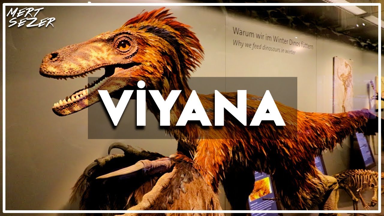 Viyana Gezisi