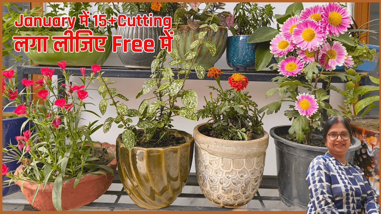 किसने कह दिया बागवानी महंगा शौक है? ये आजमाएं! #gardeningideas